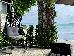Thumbnail 65