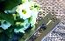 Thumbnail 21