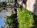 Thumbnail 30