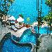 Thumbnail 62