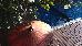 Thumbnail 26