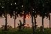Thumbnail 98