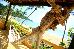 Thumbnail 103