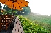 Thumbnail 51