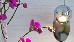 Thumbnail 22