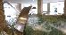 Thumbnail 67