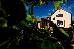 Thumbnail 65