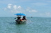 Thumbnail 29