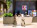 Thumbnail 14