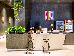 Thumbnail 15