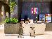 Thumbnail 246