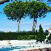 Thumbnail 23