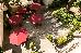 Thumbnail 23