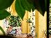 Thumbnail 27