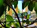 Thumbnail 31
