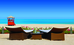 Thumbnail 289