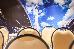 Thumbnail 48