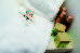 Thumbnail 16