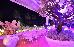 Thumbnail 23