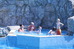 Thumbnail 24