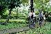Thumbnail 22