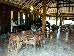 Hotel Gajah Mina Beach Resort photo 2