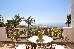 Thumbnail 38