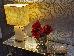 Thumbnail 16