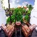 Thumbnail 561