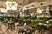 Thumbnail 85