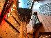 Thumbnail 39