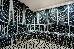 Thumbnail 42