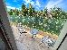 Thumbnail 62