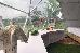 Thumbnail 22