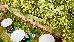Thumbnail 40
