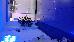 Thumbnail 31