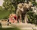 Thumbnail 25