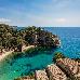 Thumbnail 202