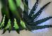 Thumbnail 205