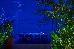 Thumbnail 181