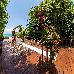 Thumbnail 95