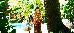 Thumbnail 60