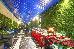 Thumbnail 27