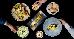 Thumbnail 162