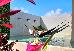 Thumbnail 57