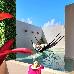 Thumbnail 58