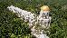 Thumbnail 277