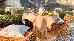 Thumbnail 28