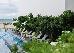 Thumbnail 42