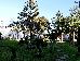 Thumbnail 23